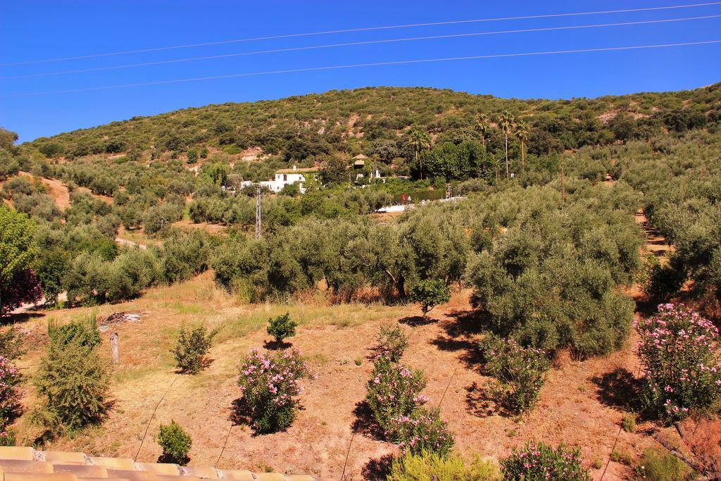 Hostal La Zamora Carcabuey ภายนอก รูปภาพ
